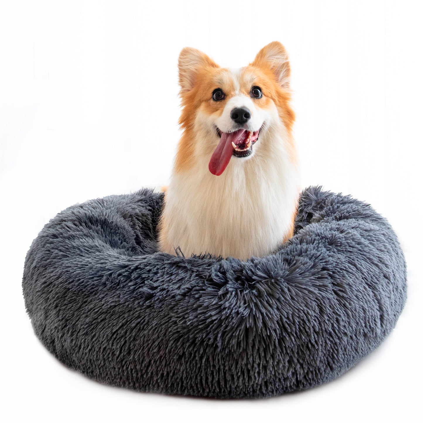 Pet Beds For Small dog/cat