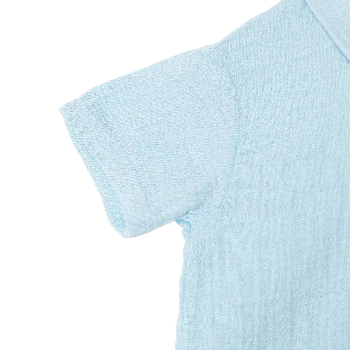 Boys Shirt & Shorts Set