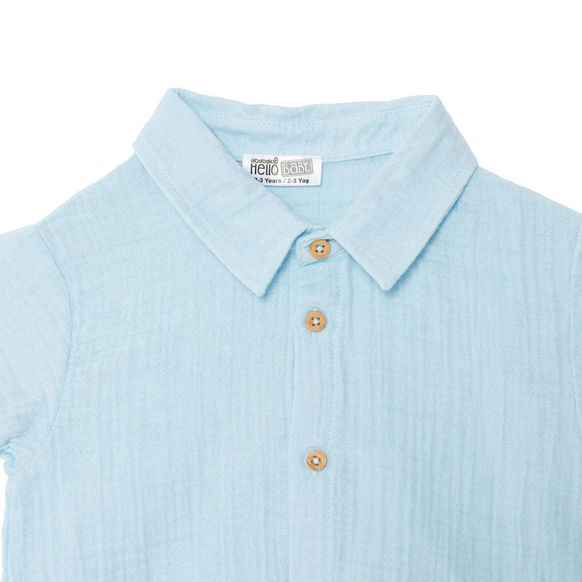 Boys Shirt & Shorts Set