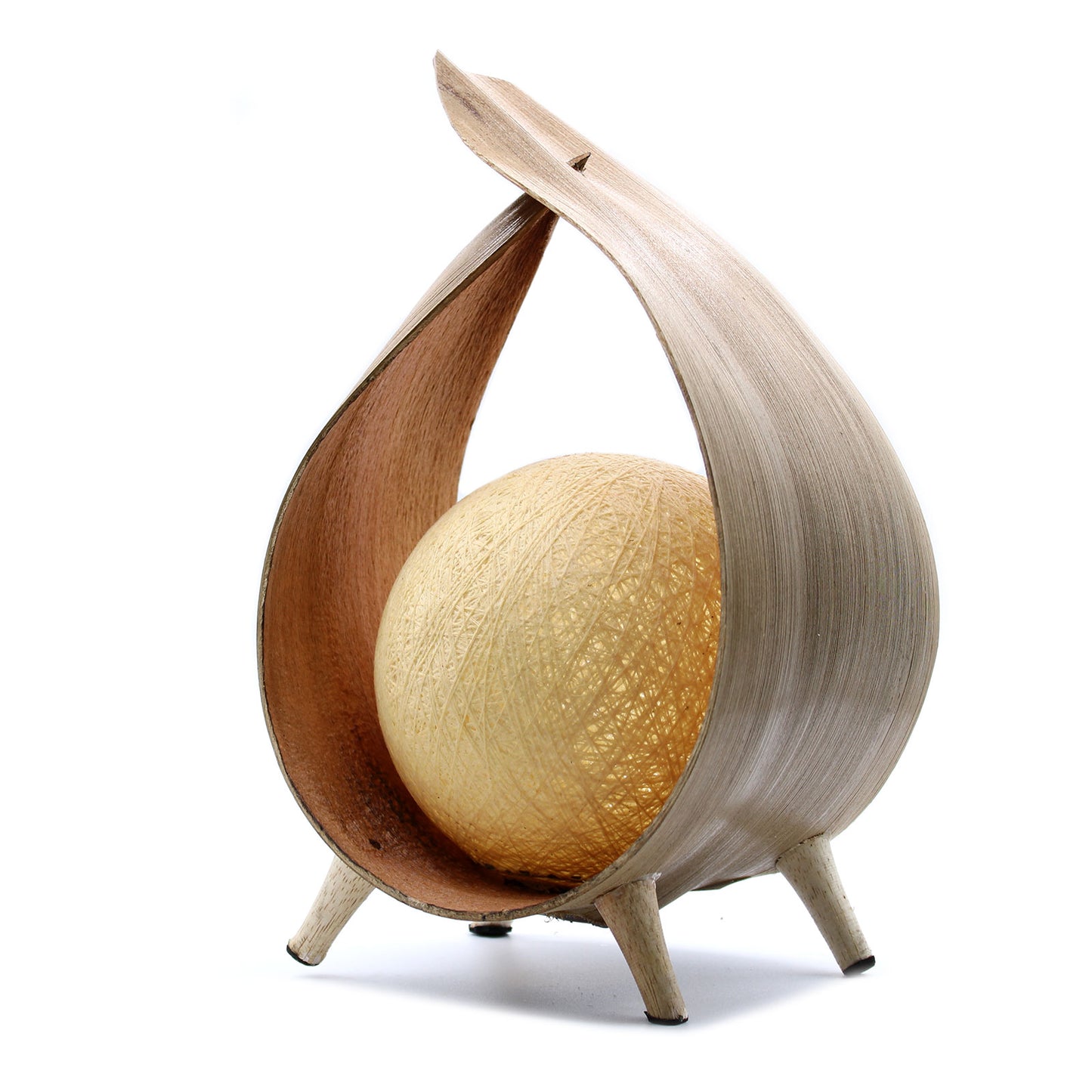 Coconut lamp