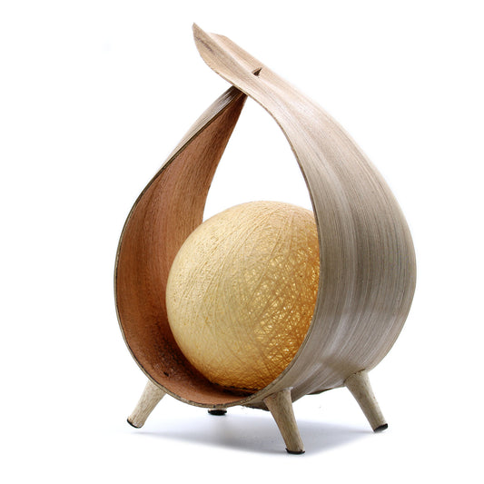 Coconut lamp