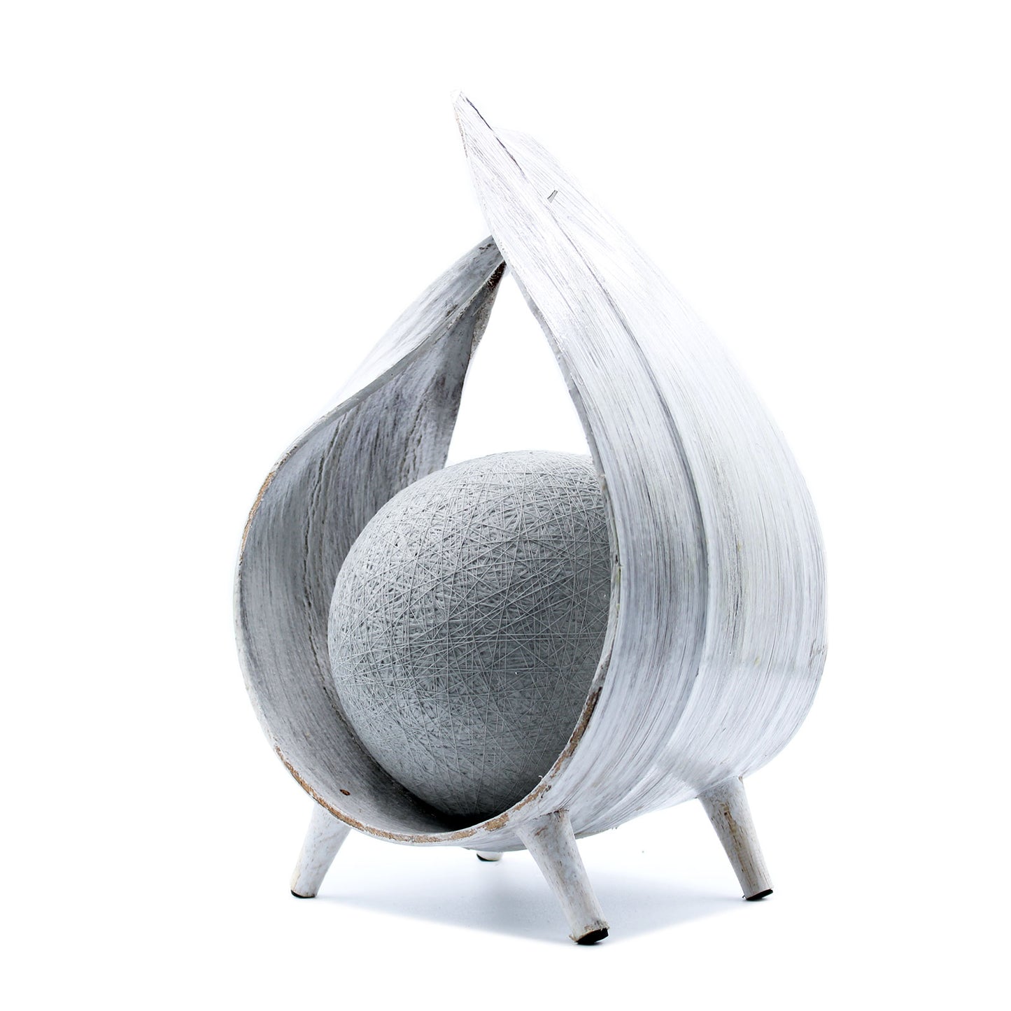 Coconut lamp