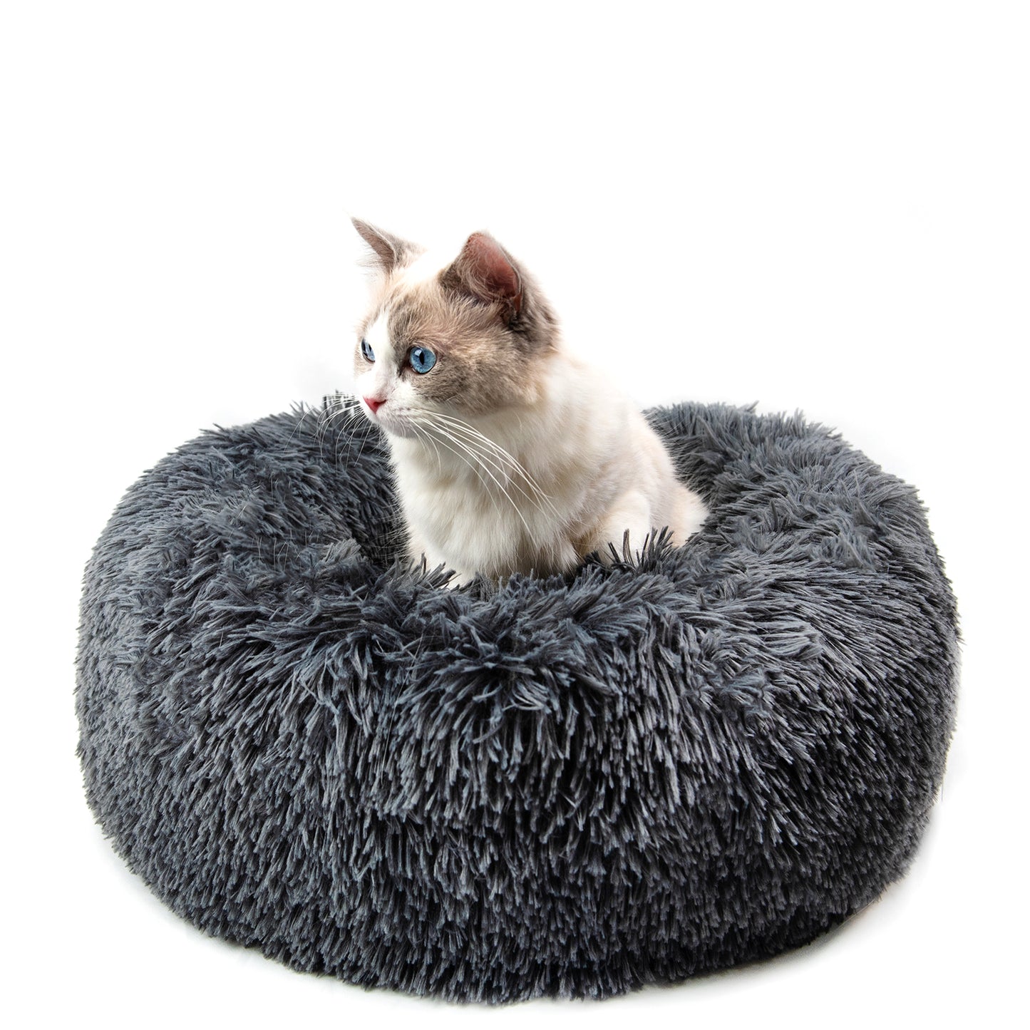 Pet Beds For Small dog/cat