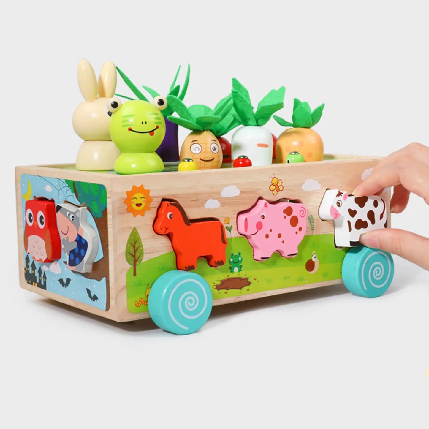 Montessori Wooden Toy