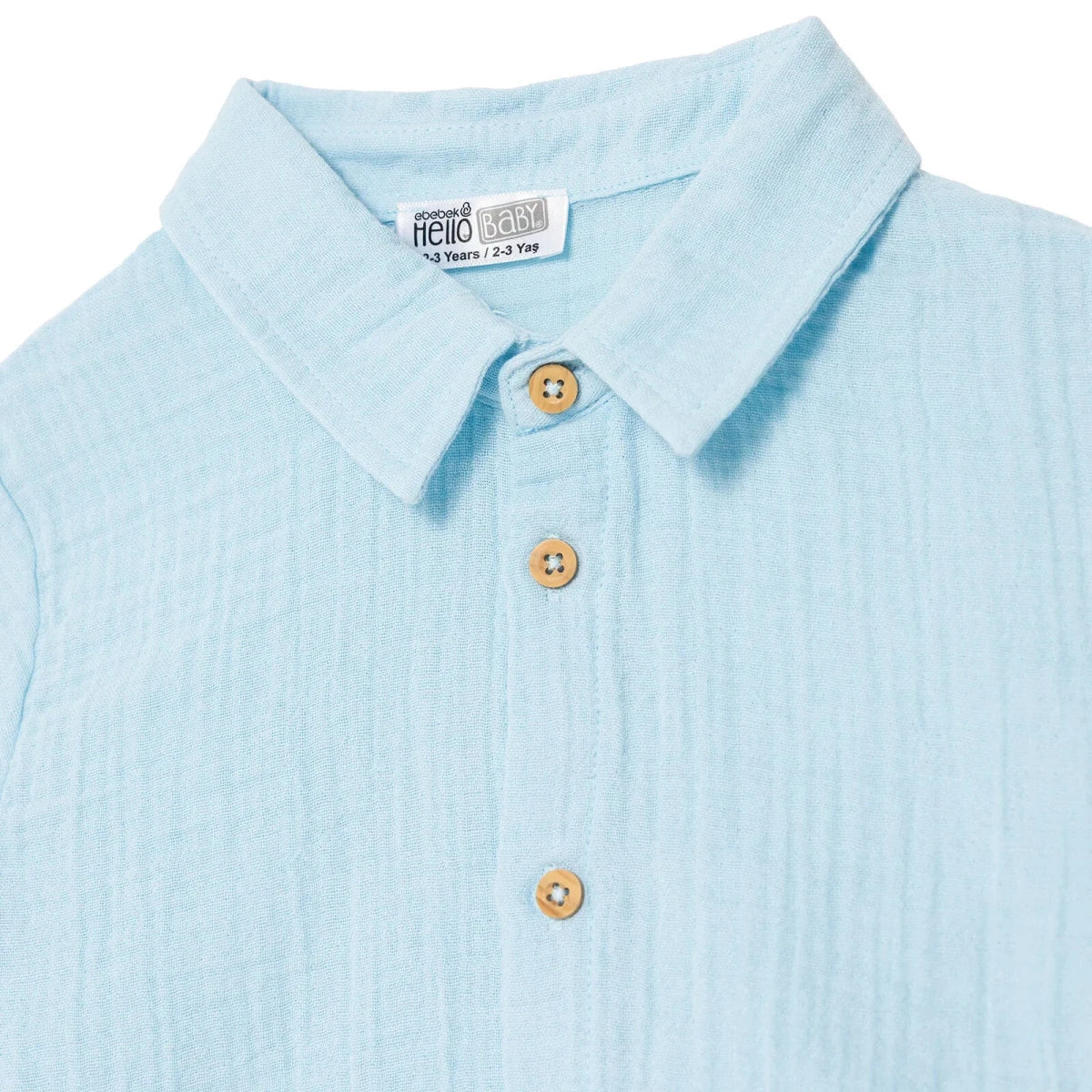 Boys Shirt & Shorts Set