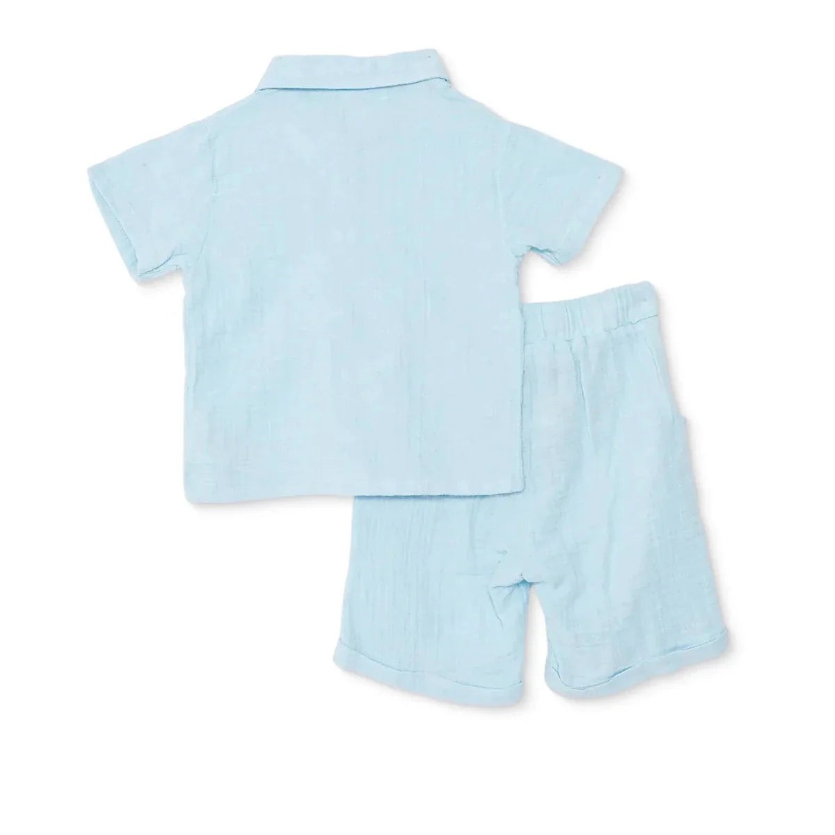 Boys Shirt & Shorts Set