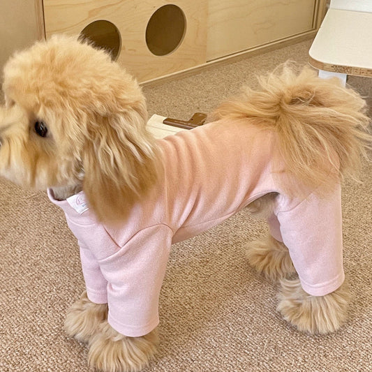 Pet Onesie