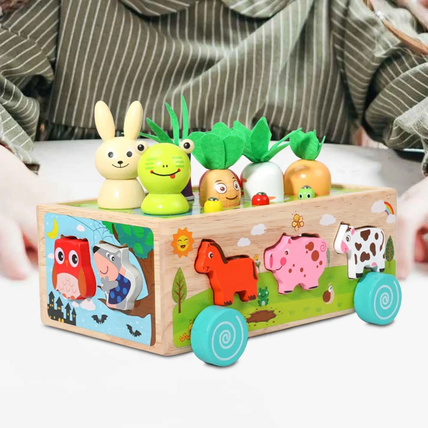 Montessori Wooden Toy