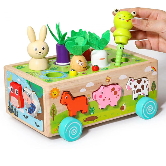 Montessori Wooden Toy