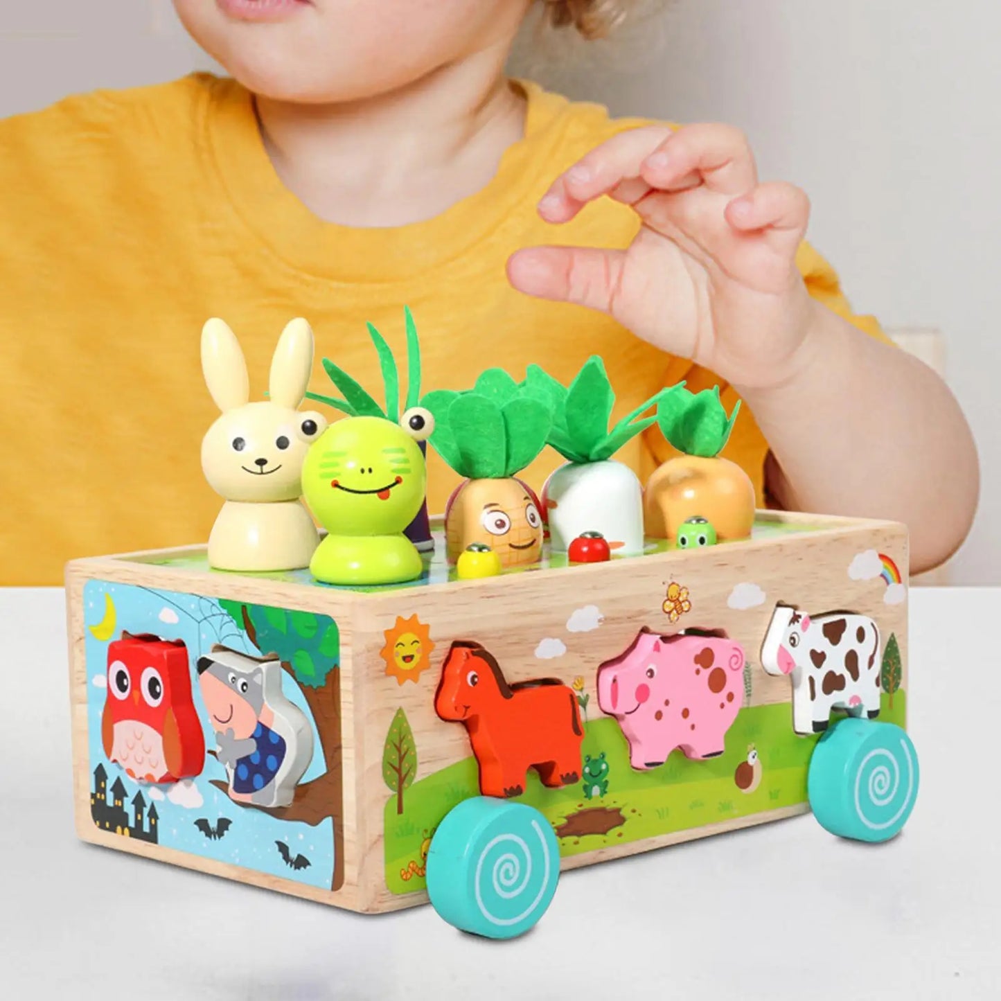 Montessori Wooden Toy