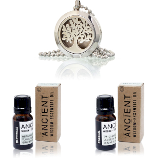 Diffuser Necklace and Essential Oil Blends Set
