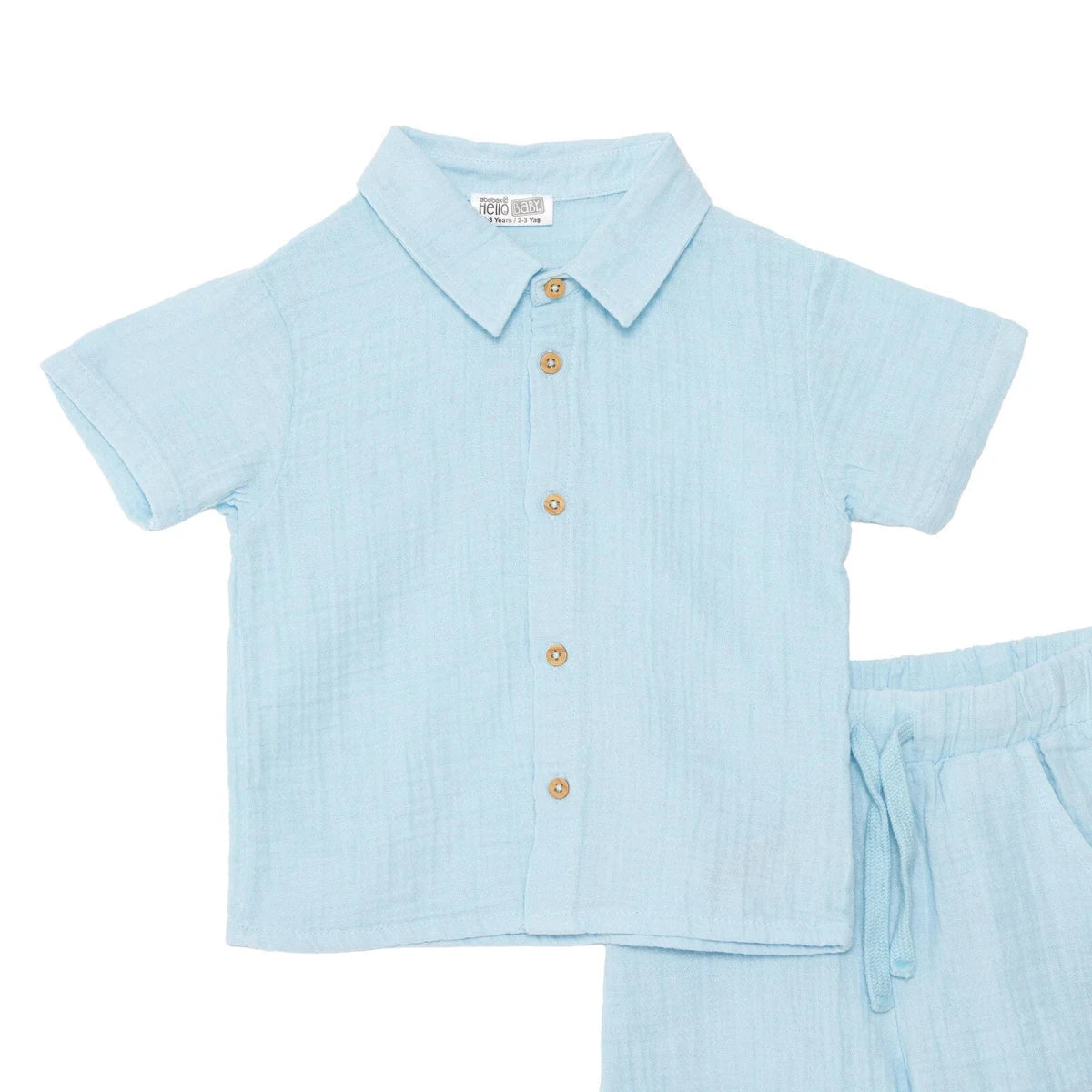 Boys Shirt & Shorts Set