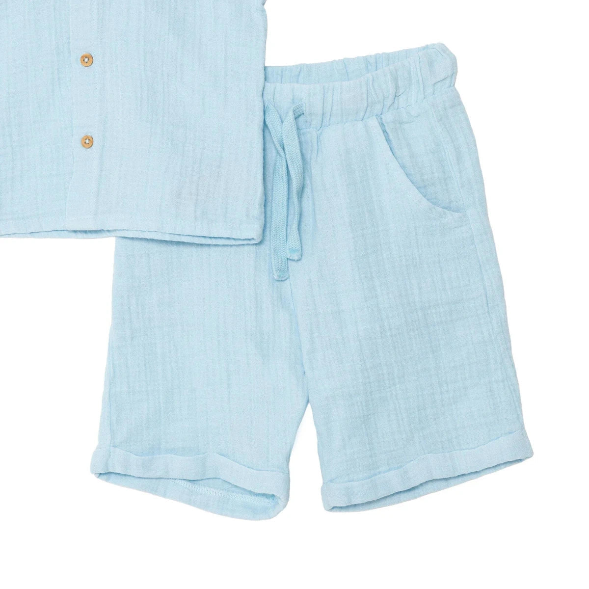 Boys Shirt & Shorts Set