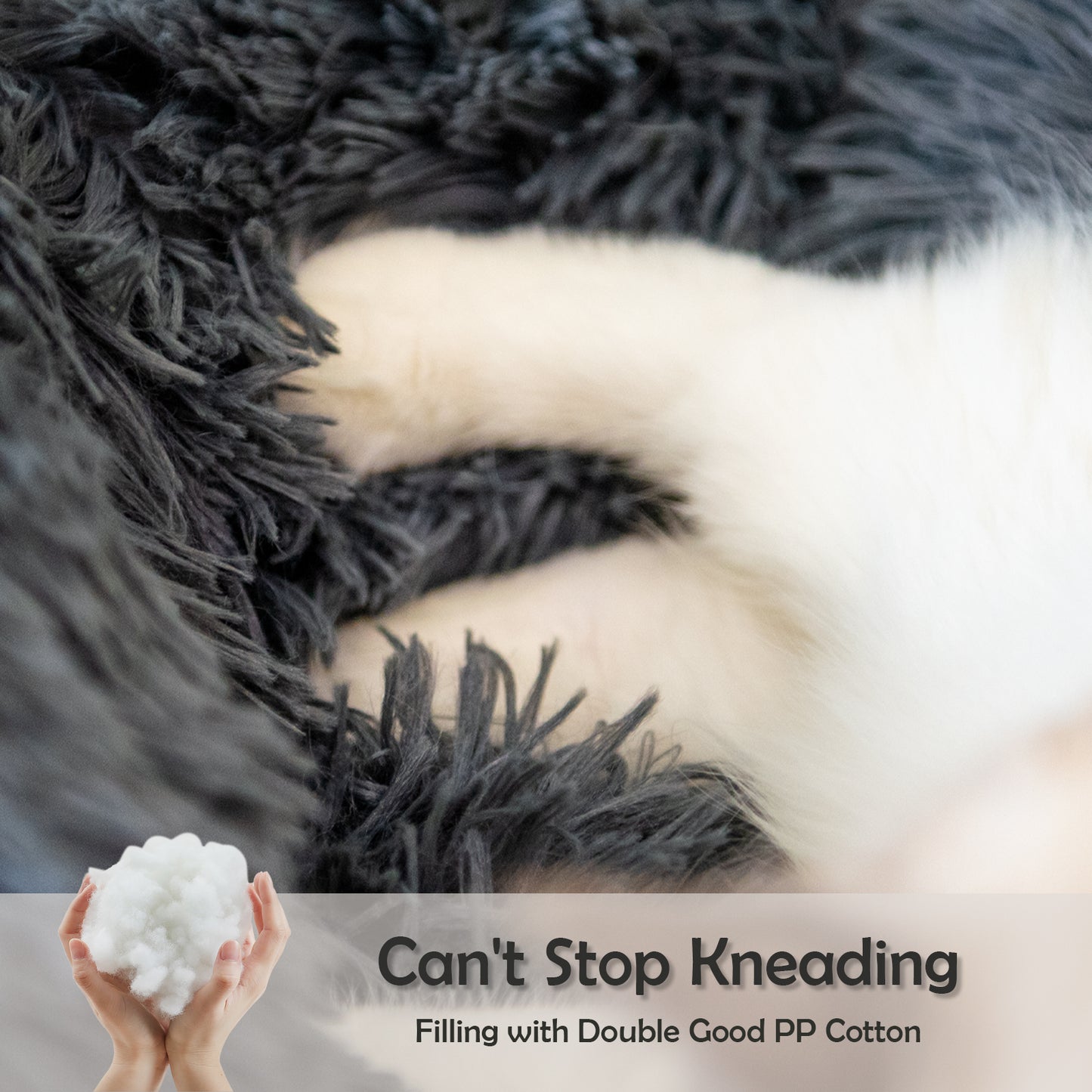 Pet Beds For Small dog/cat